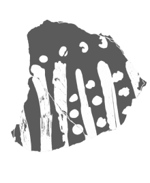 Fragment of a painted vessel