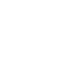 Pebble tool (chopper)