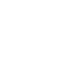 Pebble tool (chopper)